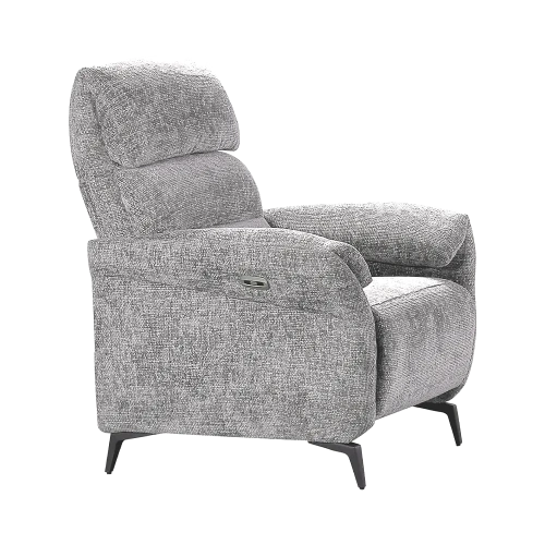 Fauteuil Électrique