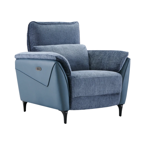 Fauteuil Électrique