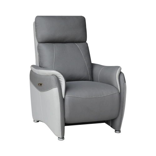 Fauteuil Électrique