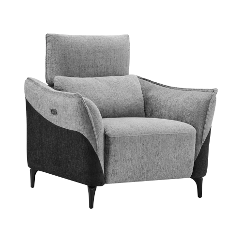 Fauteuil Électrique