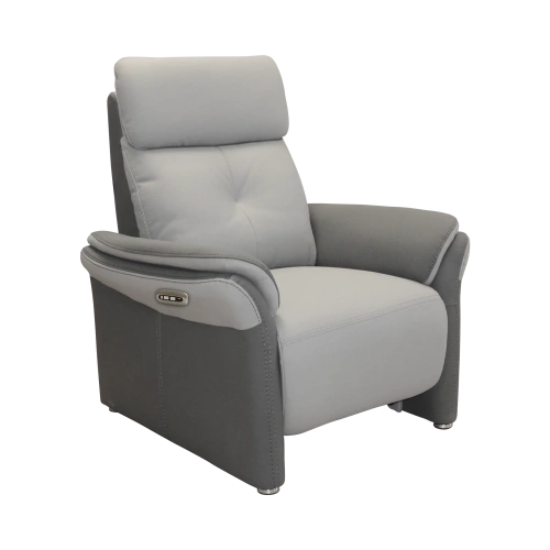 Fauteuil Électrique