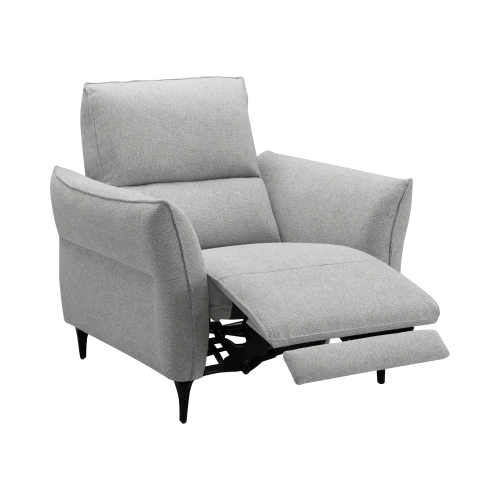 Fauteuil Électrique