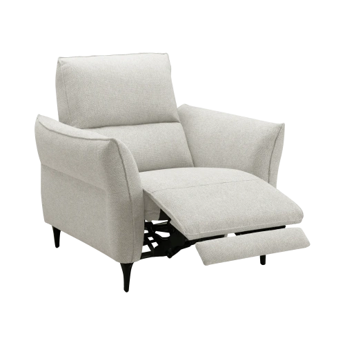 Fauteuil Électrique