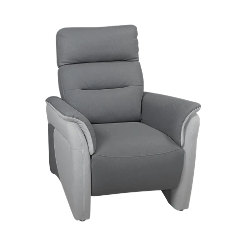 Fauteuil Électrique