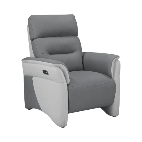 Fauteuil Électrique