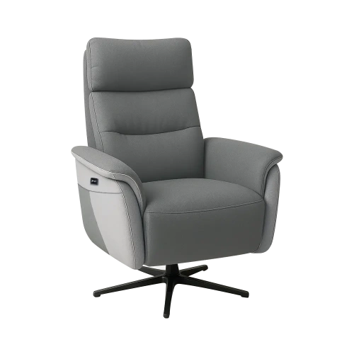 Pivotant Électrique