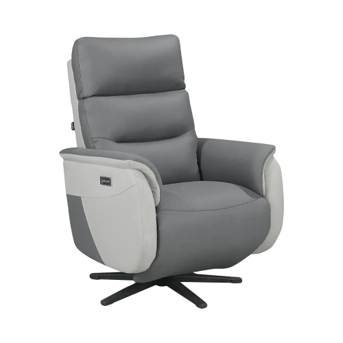 Pivotant Électrique