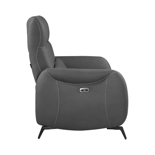 Fauteuil Électrique