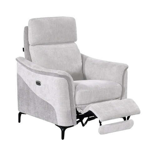 Fauteuil Électrique