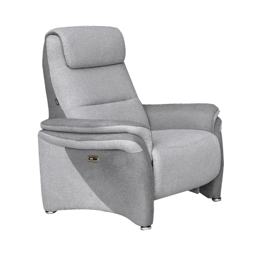 Fauteuil Électrique