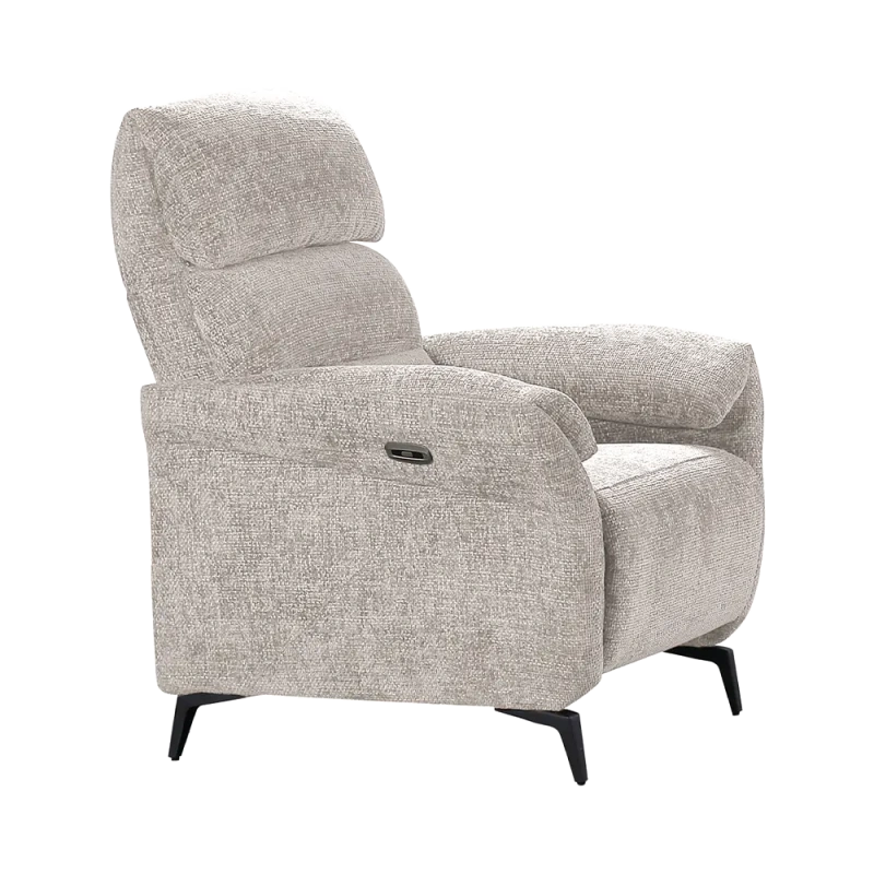 Fauteuil Électrique