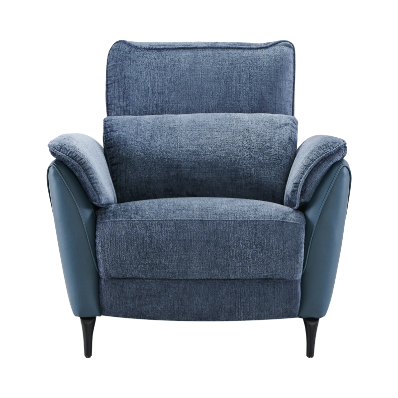 Fauteuil Électrique