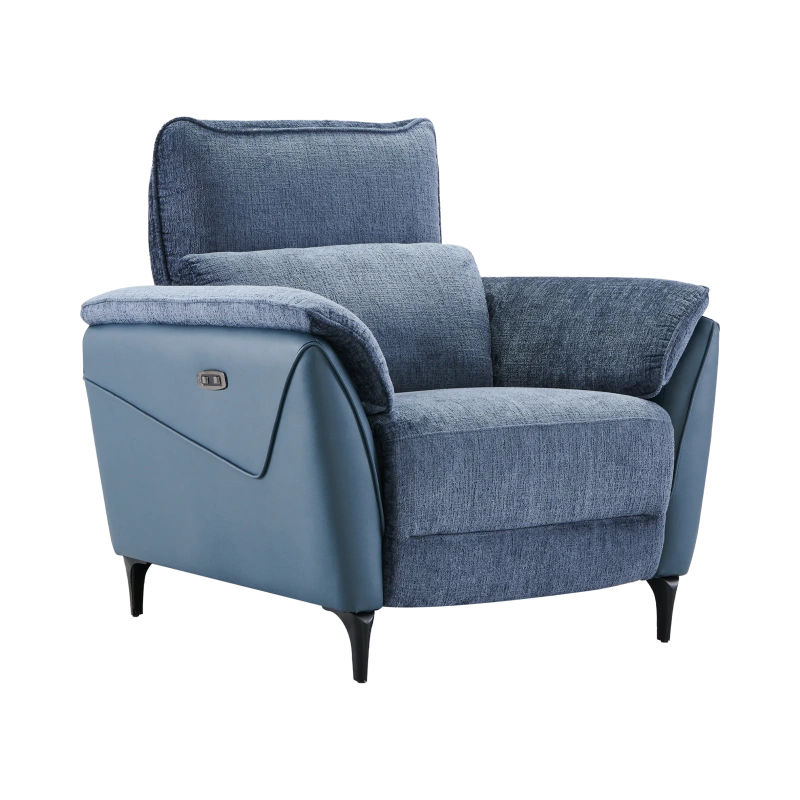 Fauteuil Électrique