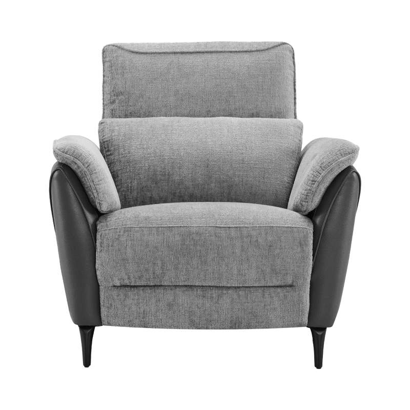 Fauteuil Électrique