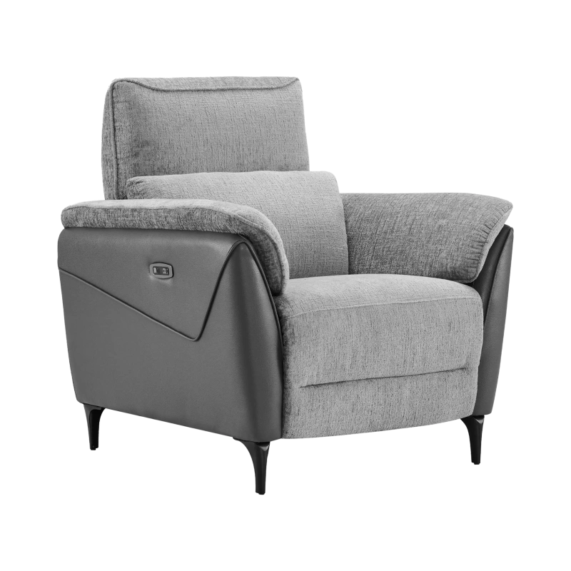 Fauteuil Électrique