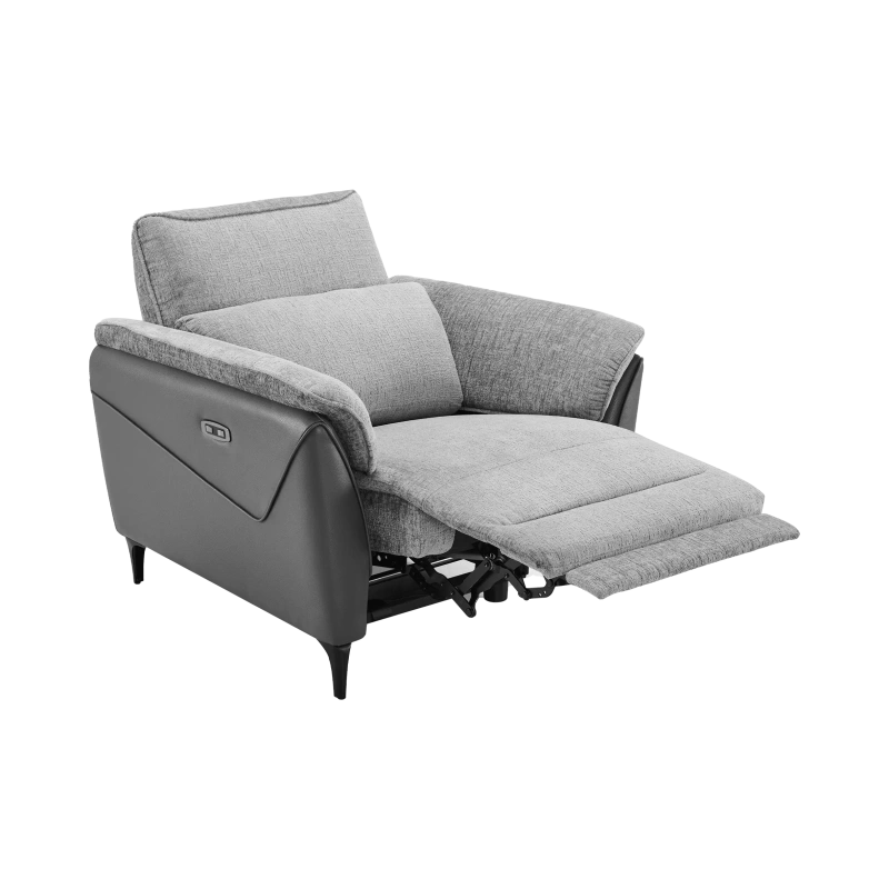 Fauteuil Électrique