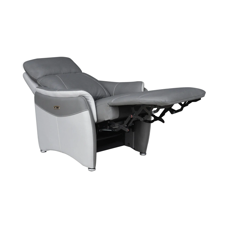 Fauteuil Électrique