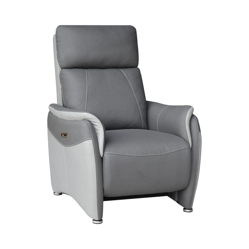 Fauteuil Électrique