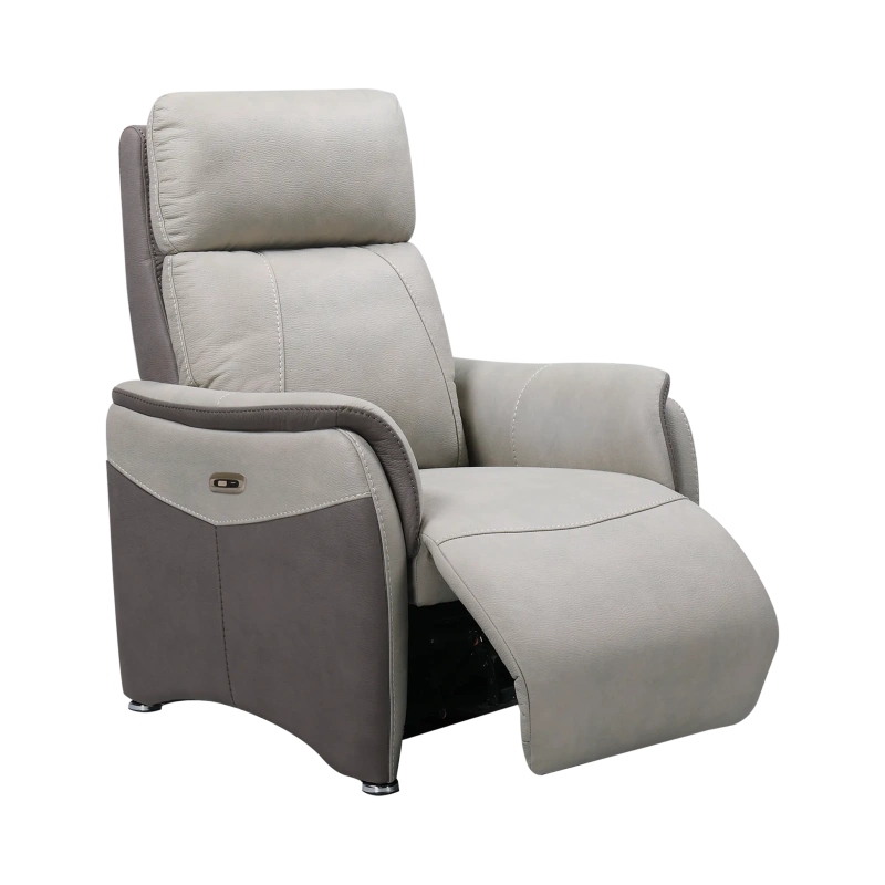 Fauteuil Électrique