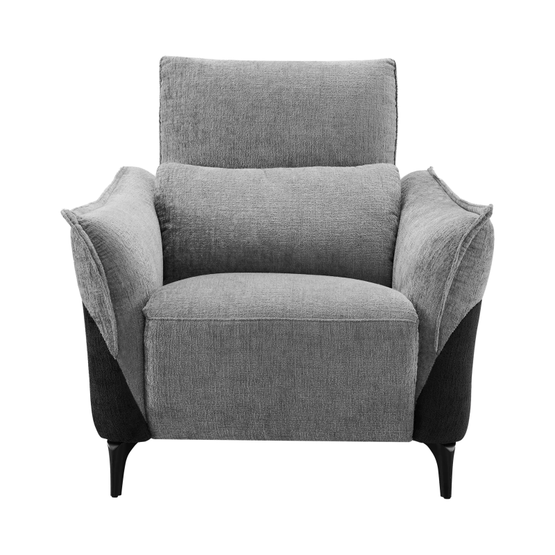 Fauteuil Électrique