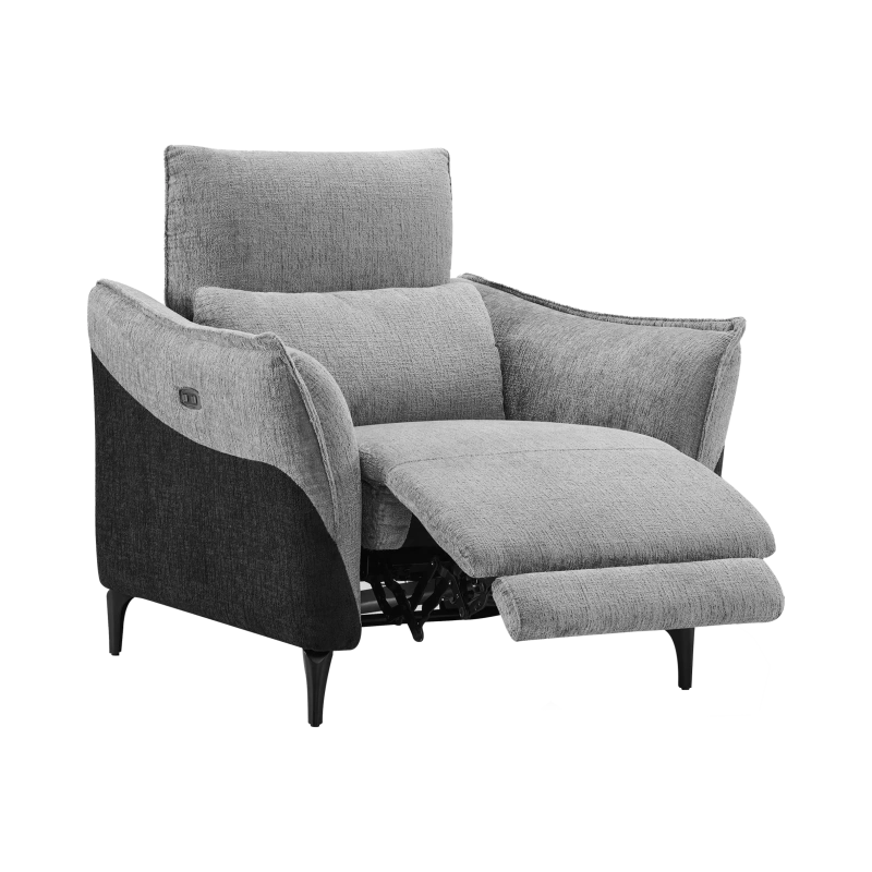 Fauteuil Électrique