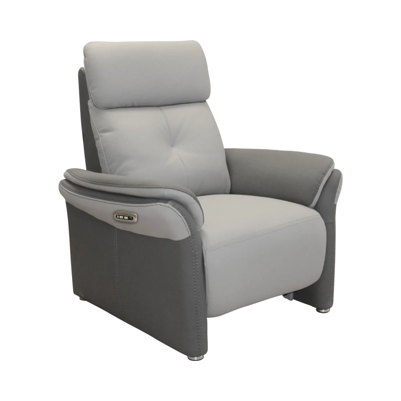 Fauteuil Électrique