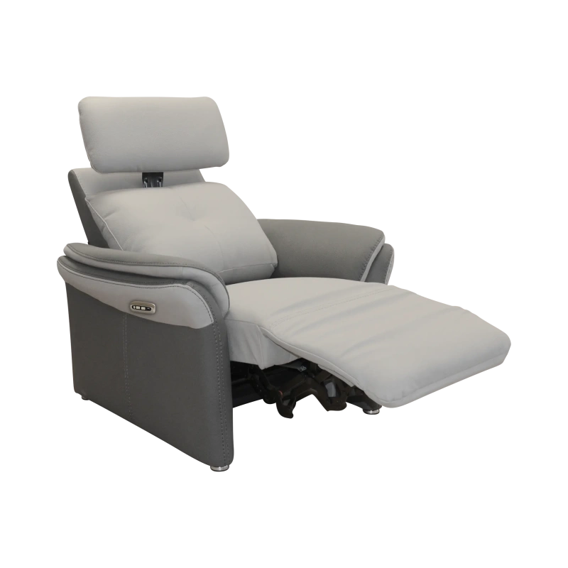 Fauteuil Électrique