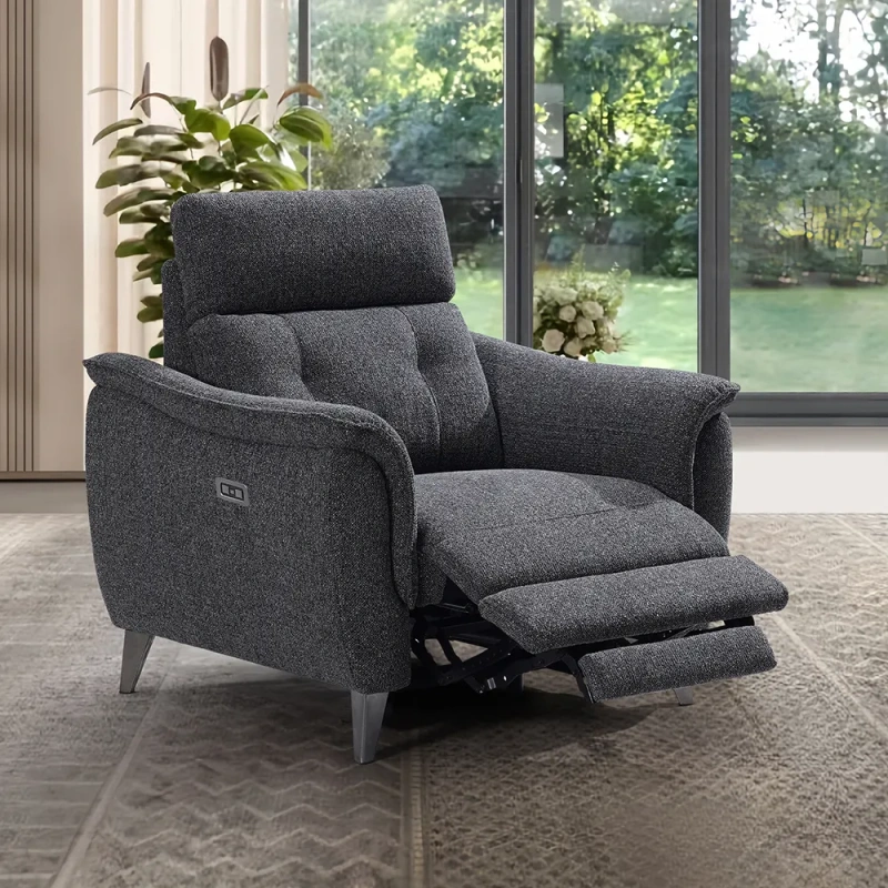 Fauteuil Électrique