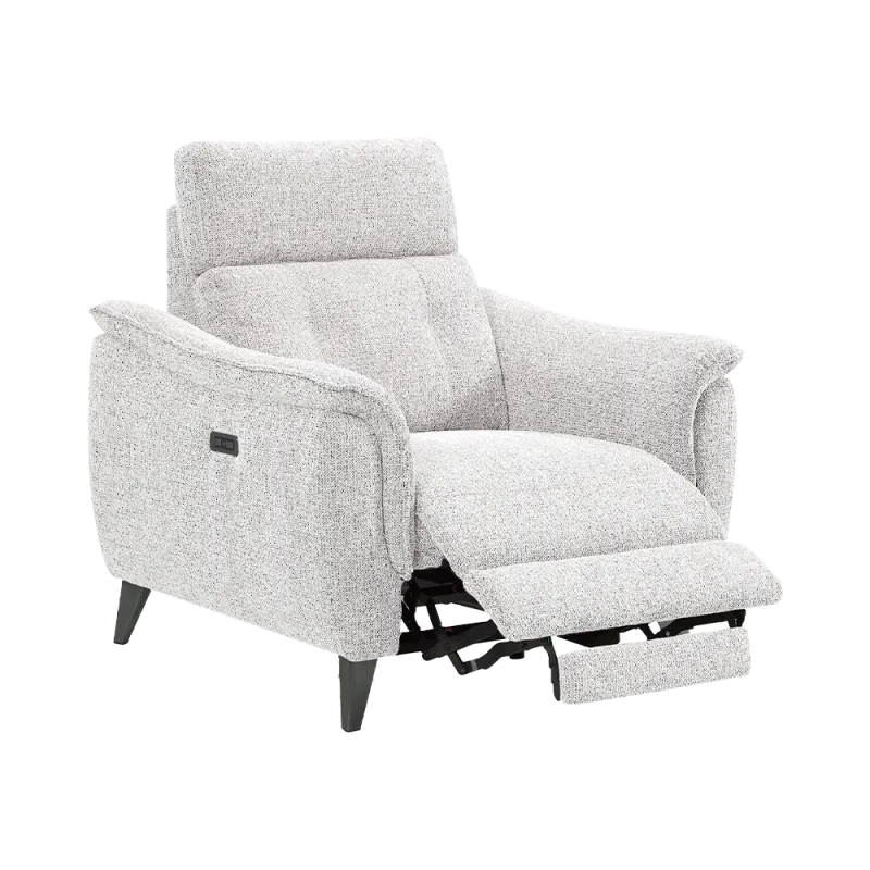 Fauteuil Électrique