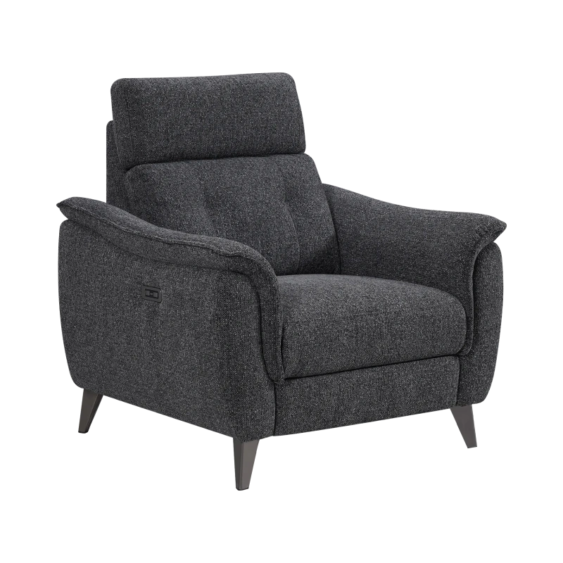 Fauteuil Électrique