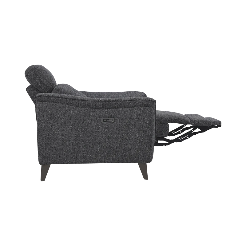 Fauteuil Électrique