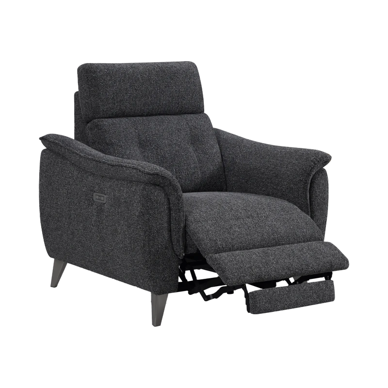 Fauteuil Électrique