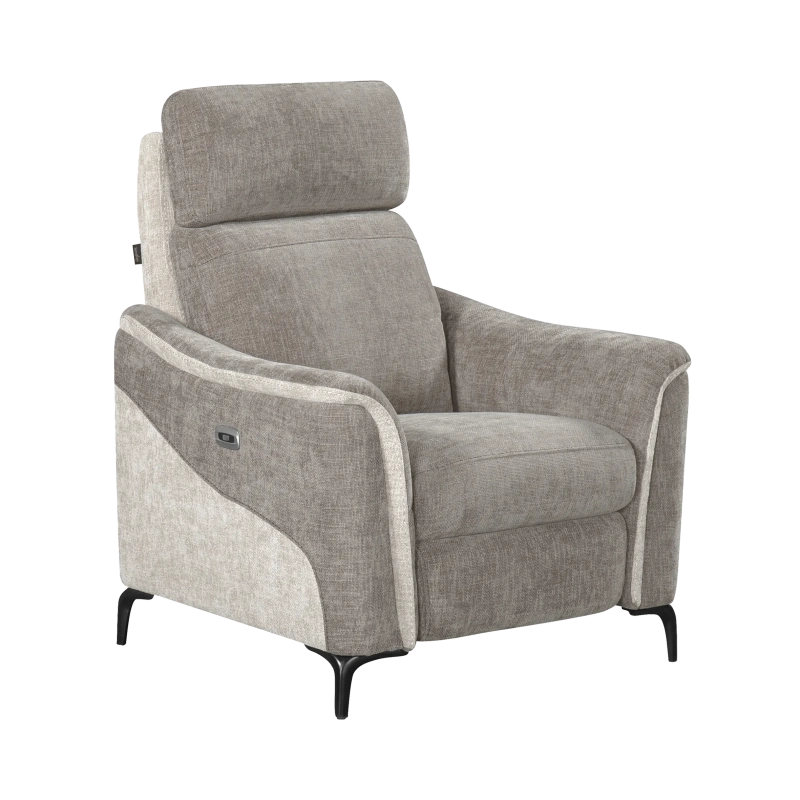 Fauteuil Électrique