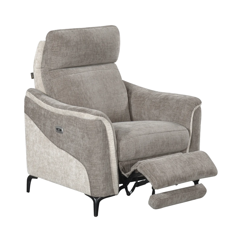 Fauteuil Électrique