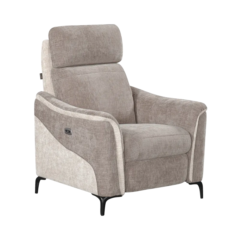 Fauteuil Électrique