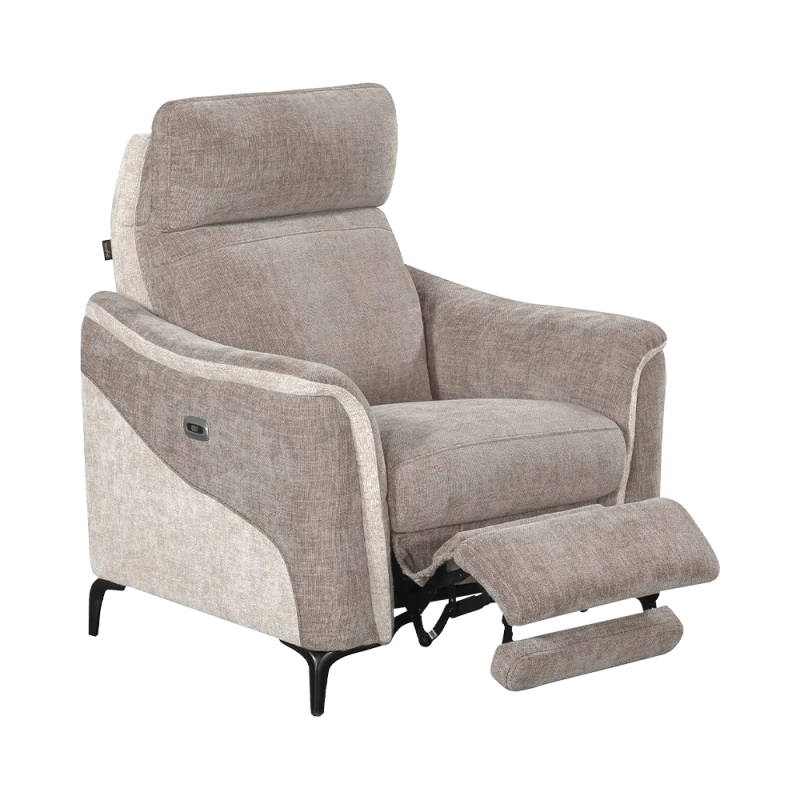 Fauteuil Électrique