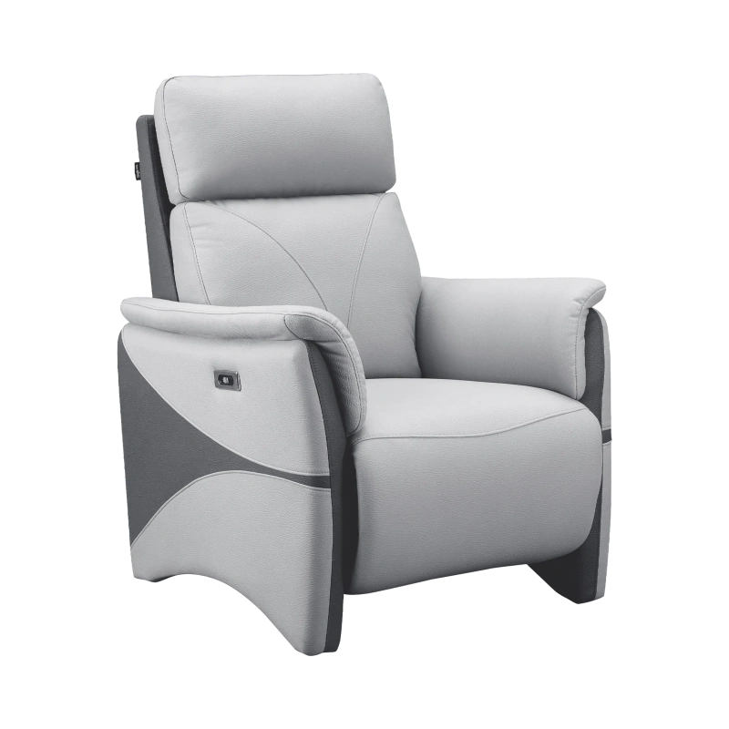 Fauteuil Électrique