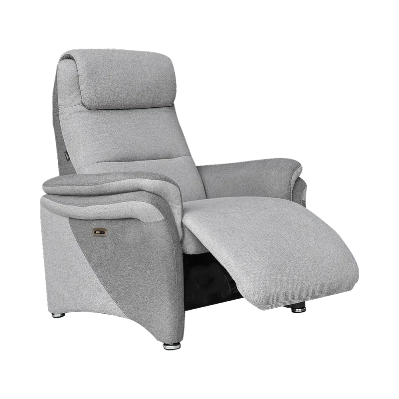 Fauteuil Électrique